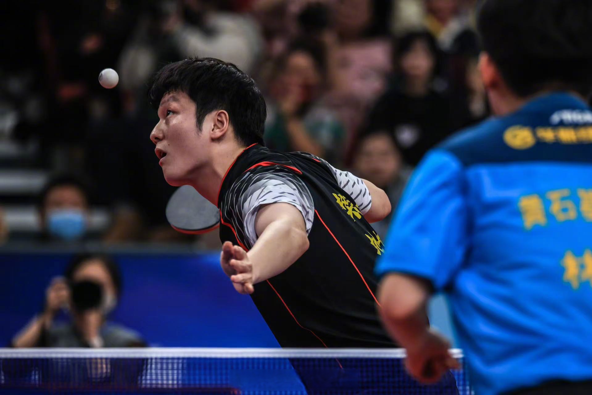 比利时乒乓球队完胜英国乒乓球队，樊振东爆发神勇的简单介绍