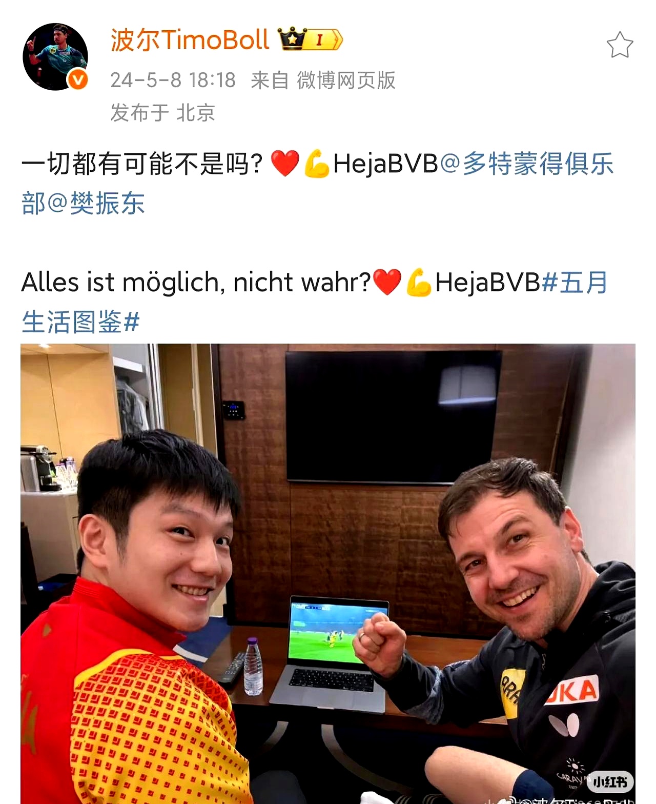 包含瑞典乒乓球队轻取日本乒乓球队，波尔打破历史纪录的词条