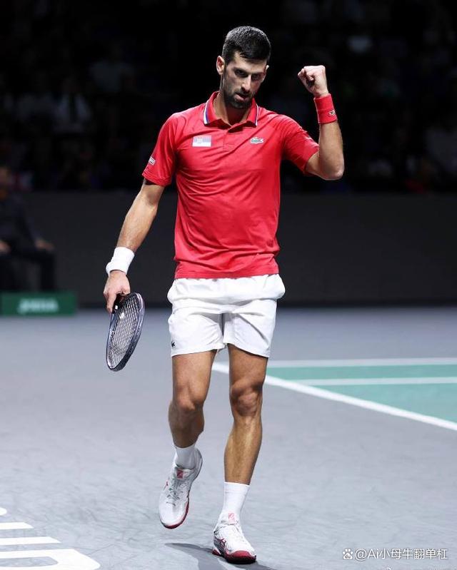 拉沃尔杯力克戴维斯杯，辛纳状态火热的简单介绍