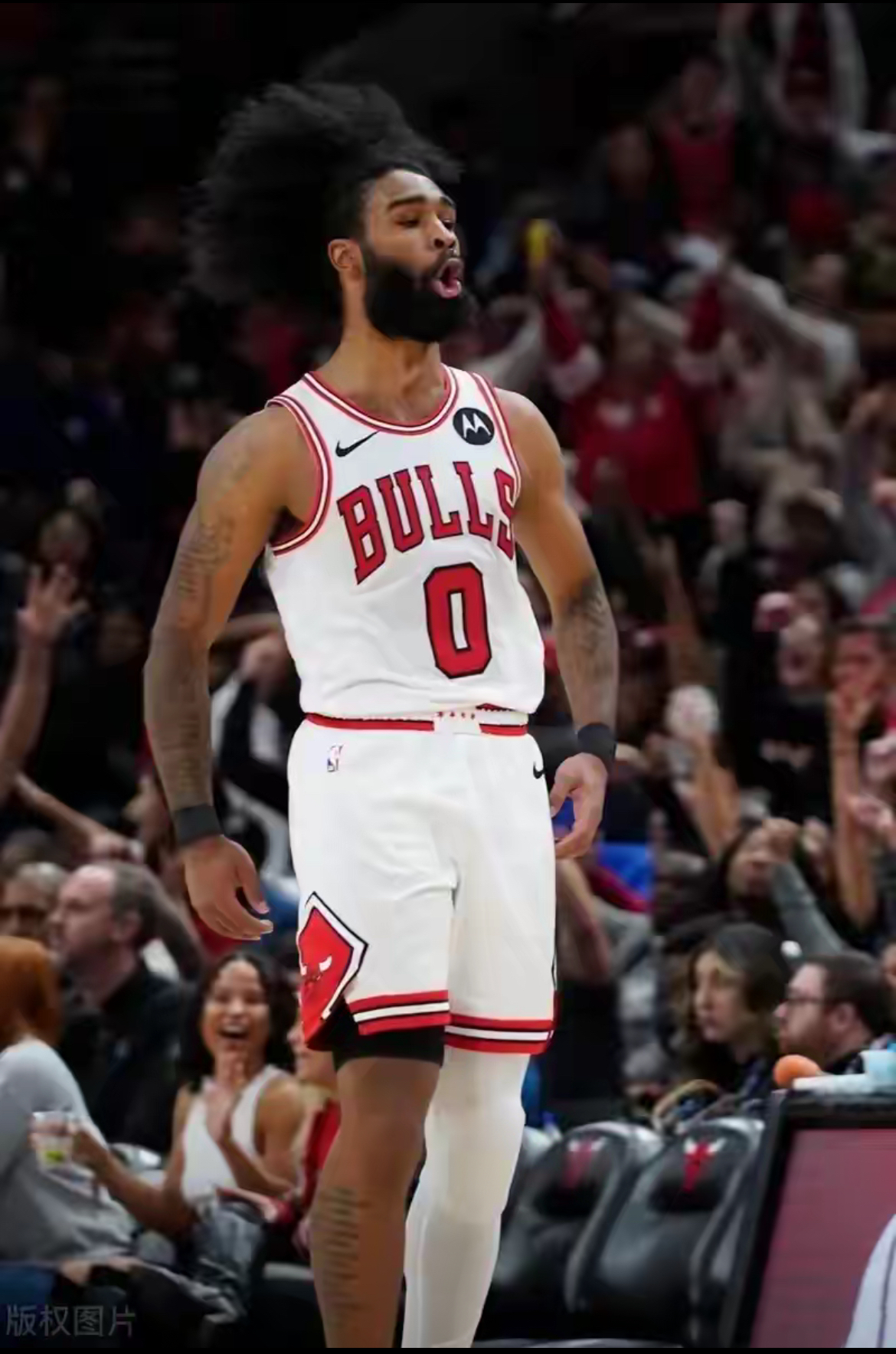 包含公牛替补球员崛起，帮助球队逆转胜利的词条